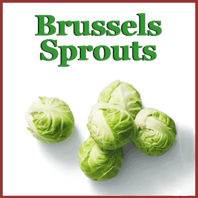 Brussels sprouts image