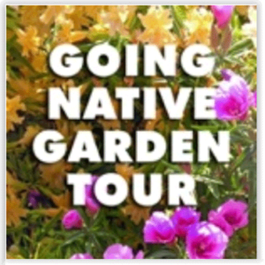 Going Native Garden Tour, Area Native Gardens - Silicon Valley Seeds
