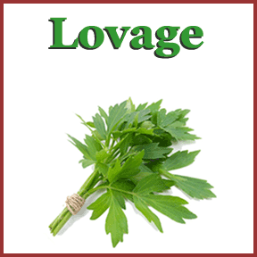 Lovage image