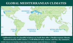 Mediterranean Climates