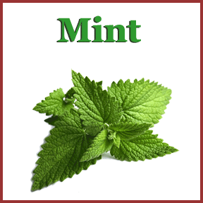 Mint image