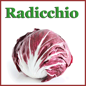 Radicchio image