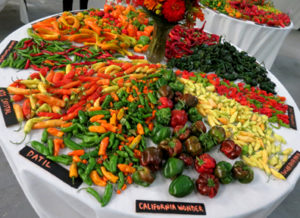Table of peppers