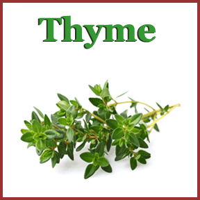 Thyme image