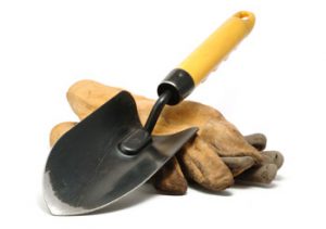 Trowel and gloves for garden and farm